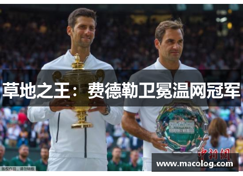 草地之王：费德勒卫冕温网冠军